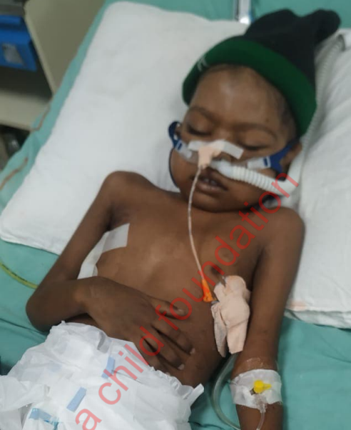 Screenshot 2026-04-15 222410