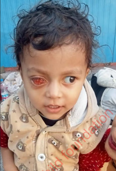 Screenshot 2026-04-15 222427